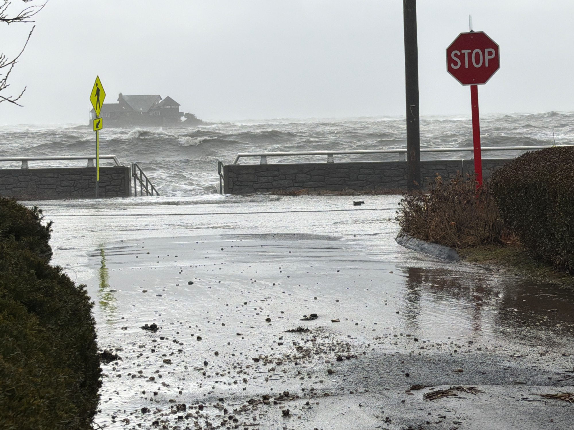 1d8c83d6b042cd117fde455d7f28cda0b1491021