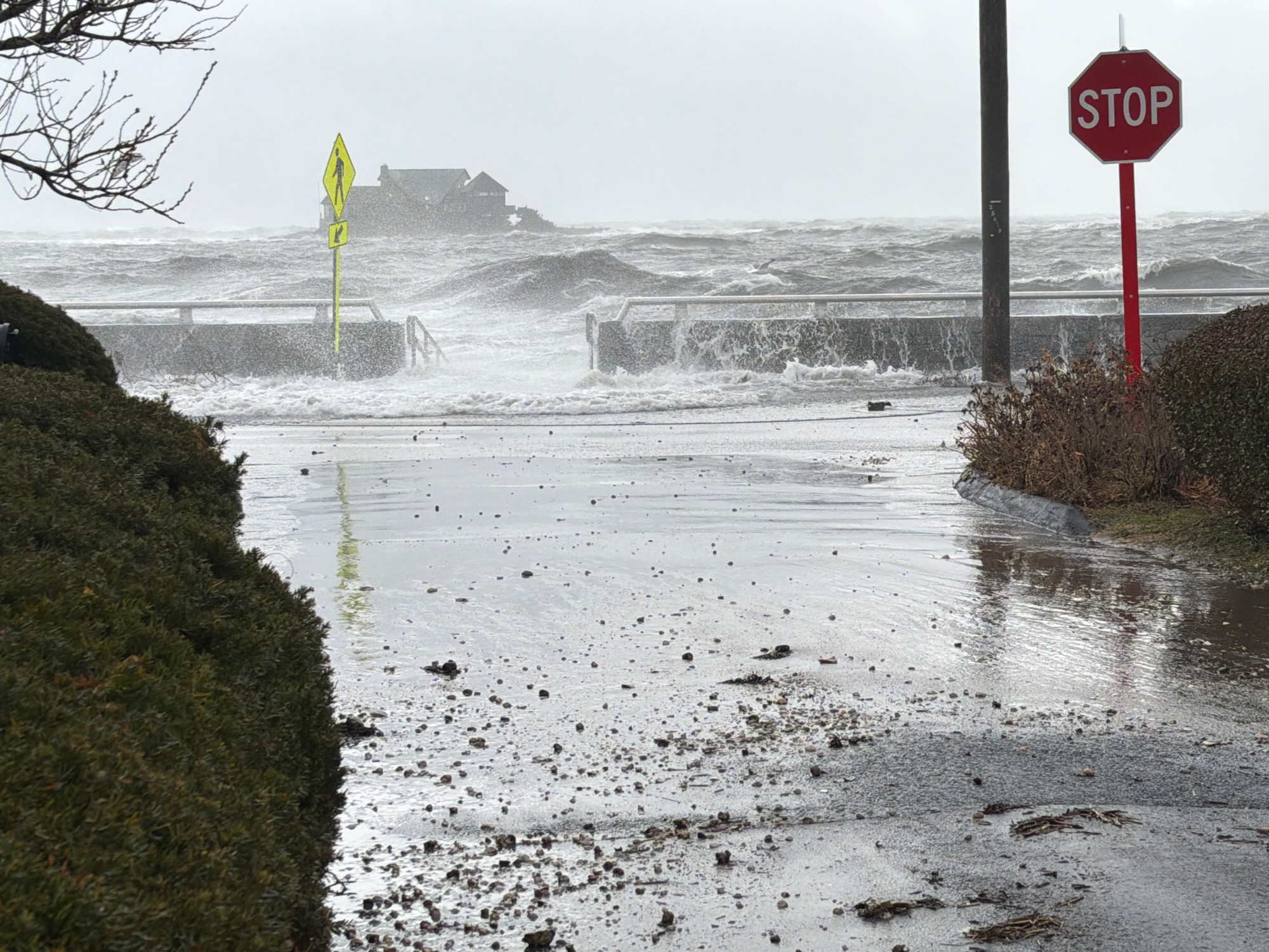 038b7a41696b71dd8e4cf5f6a93fa4972424a61e