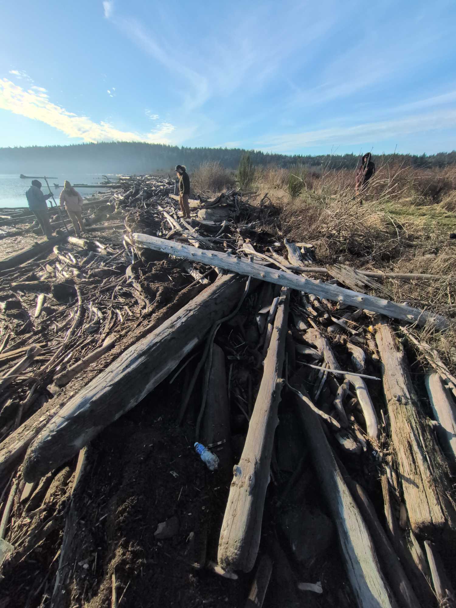 bf232f5d02f7e3c03d7b9f9834a92482e1d7d6e8