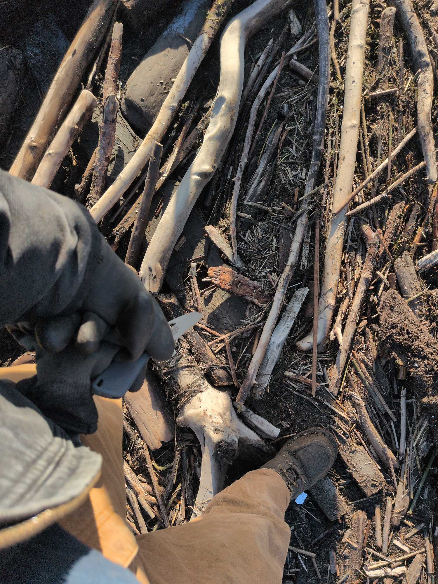 029d21f7372e59b9e568e46b3feefc5992f7ab11