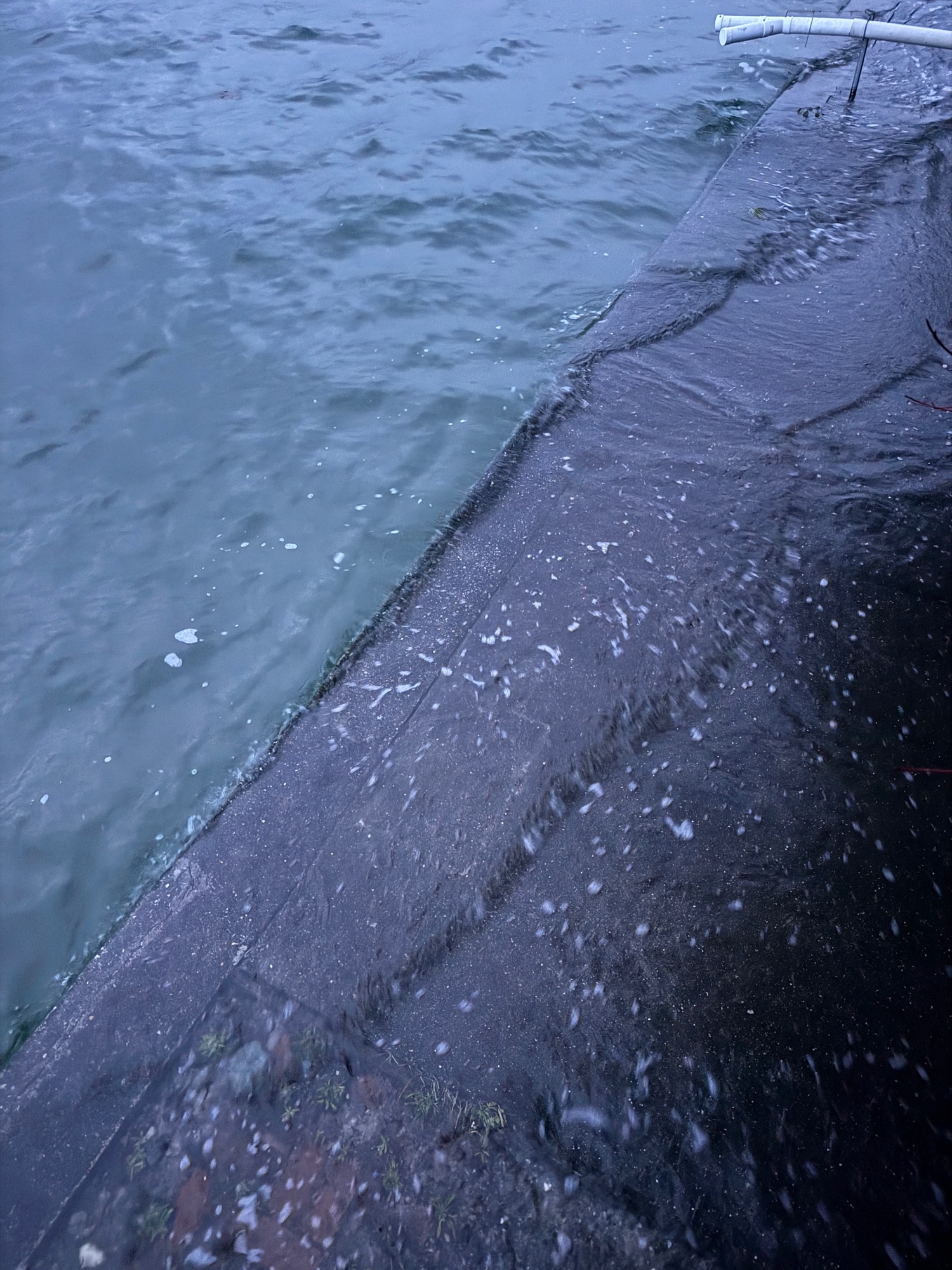 cec64e0a4a158c44a3bc4c3bd605e3ff859c170d