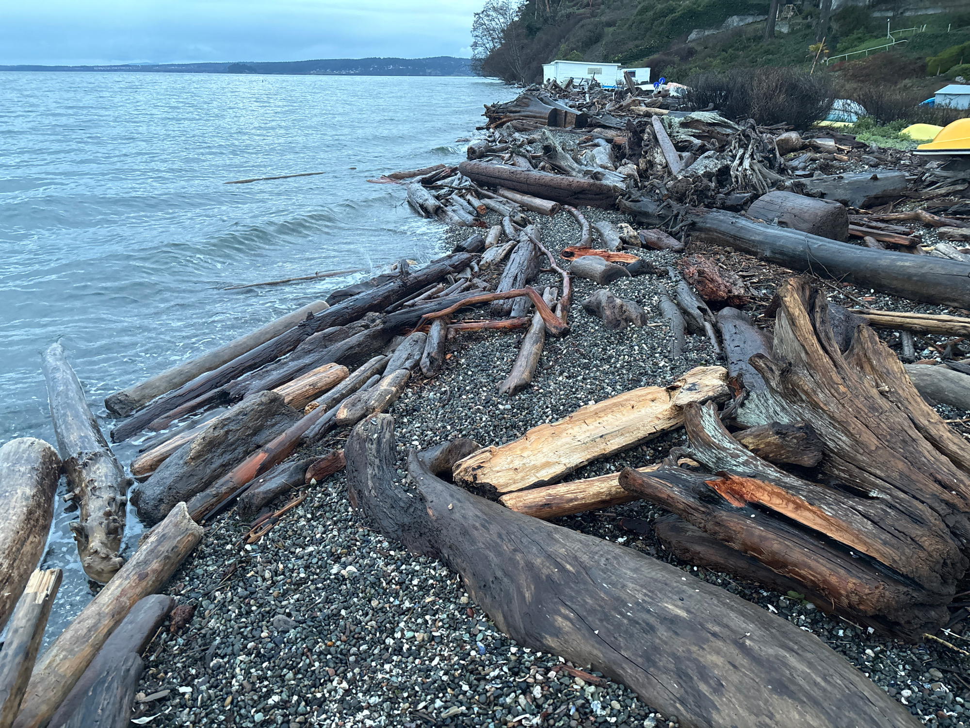 29391703e8f51f392f61b03cb09fa34a33afa9d0