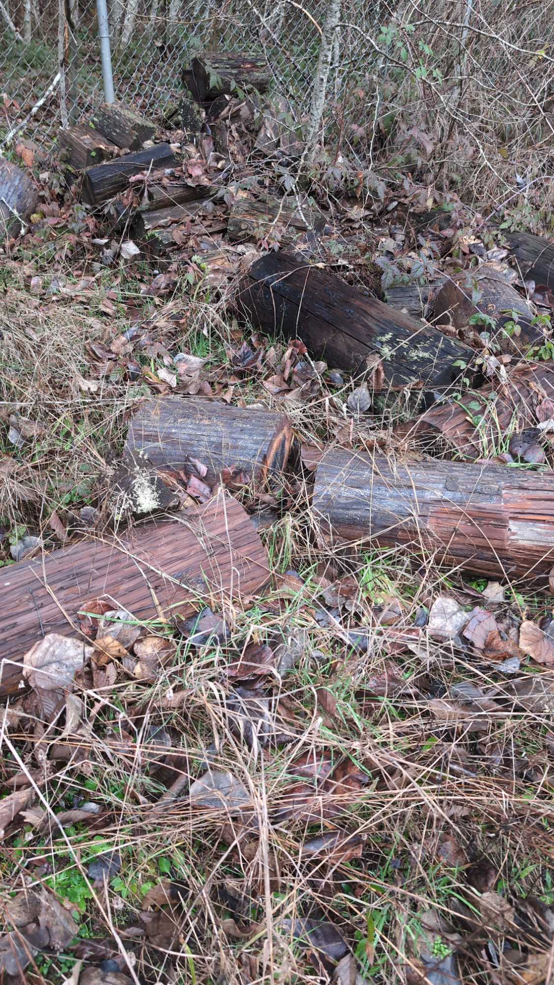 09bbdf2c99e8a984e415eb1e48b8b6871cb7420b