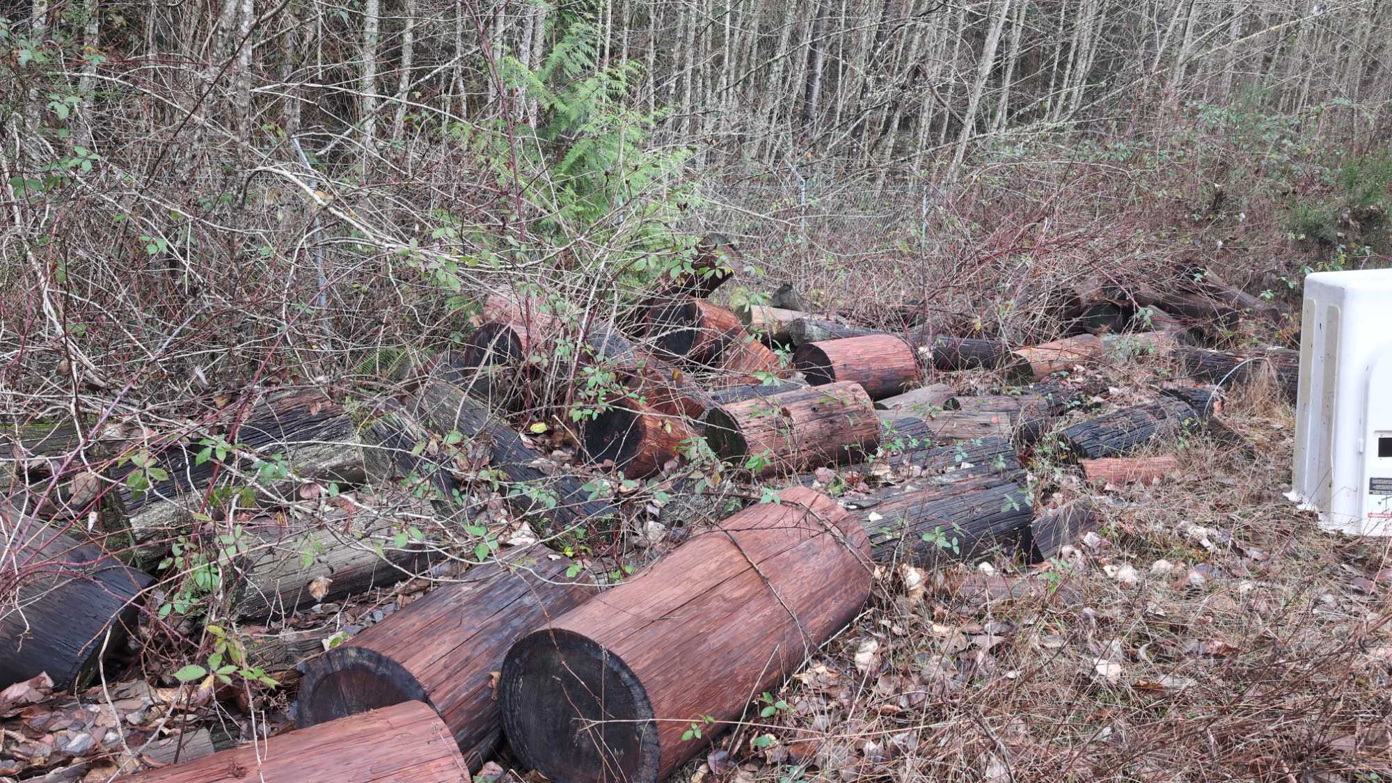 c388fad6c5e462114eface9974d61ff4570ee471