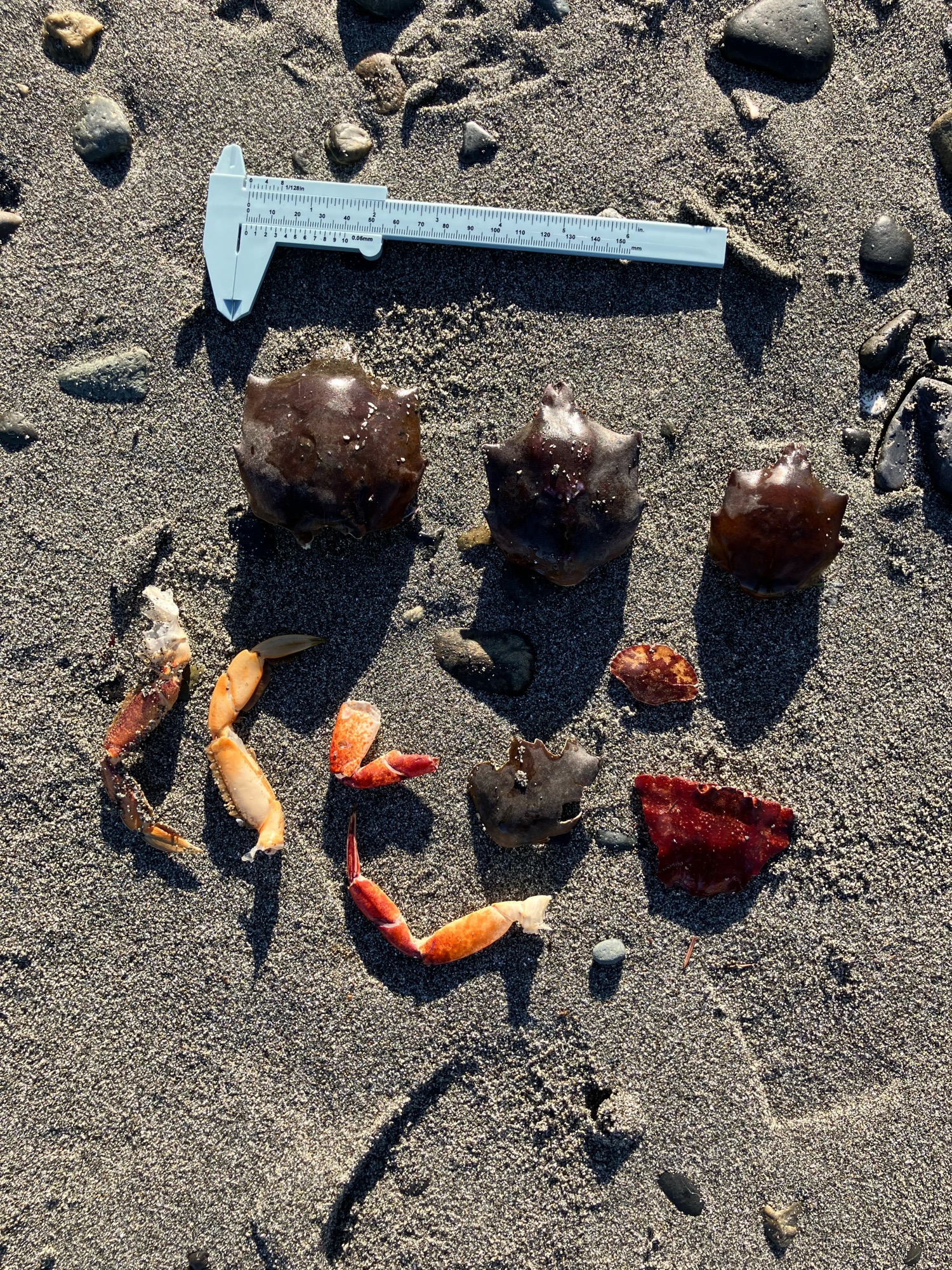 a4f6a1098ea46e96d697a793aa604c40d1aa6e83