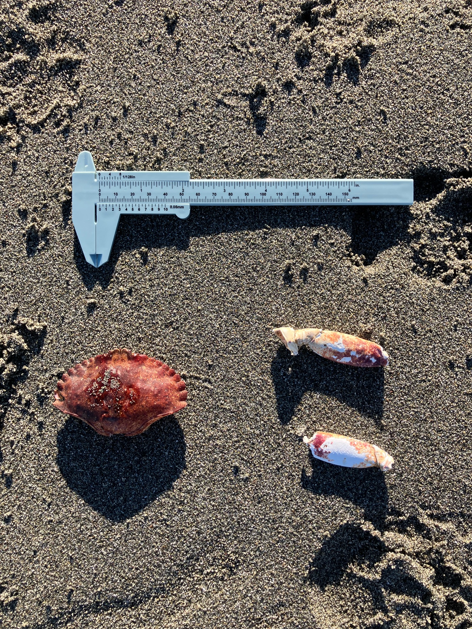 e3c233a25850c2988daf4842997d9010dfe541f4