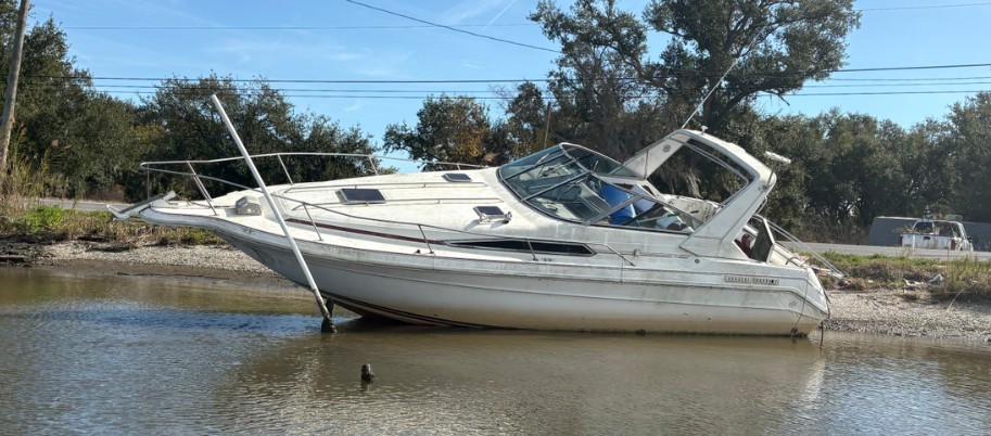 8d6e8936b82ca95692cec3dab835f2c31