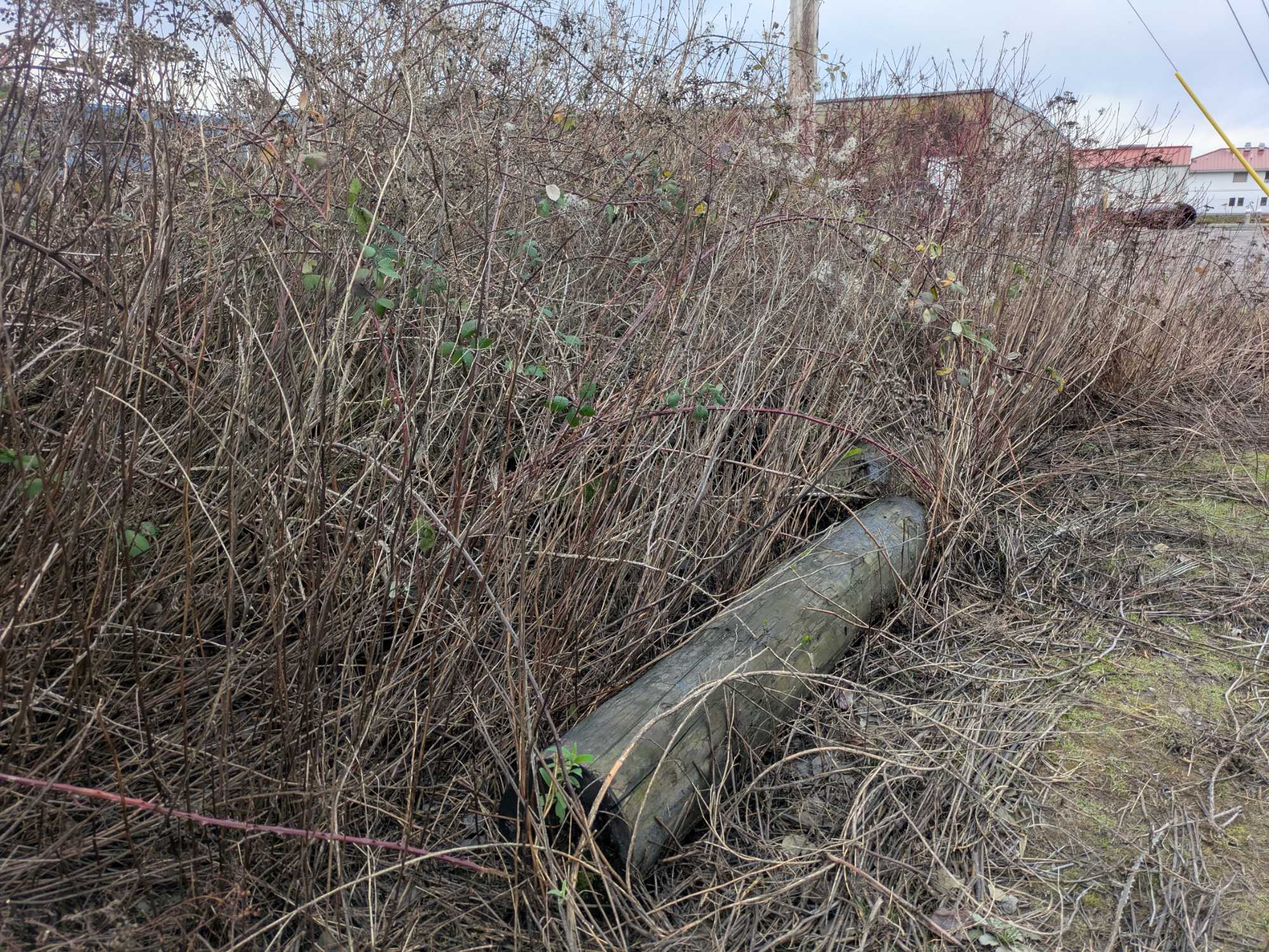 efb3a5ac41e8bf8e36ccd076fa06acf9b824d8cc