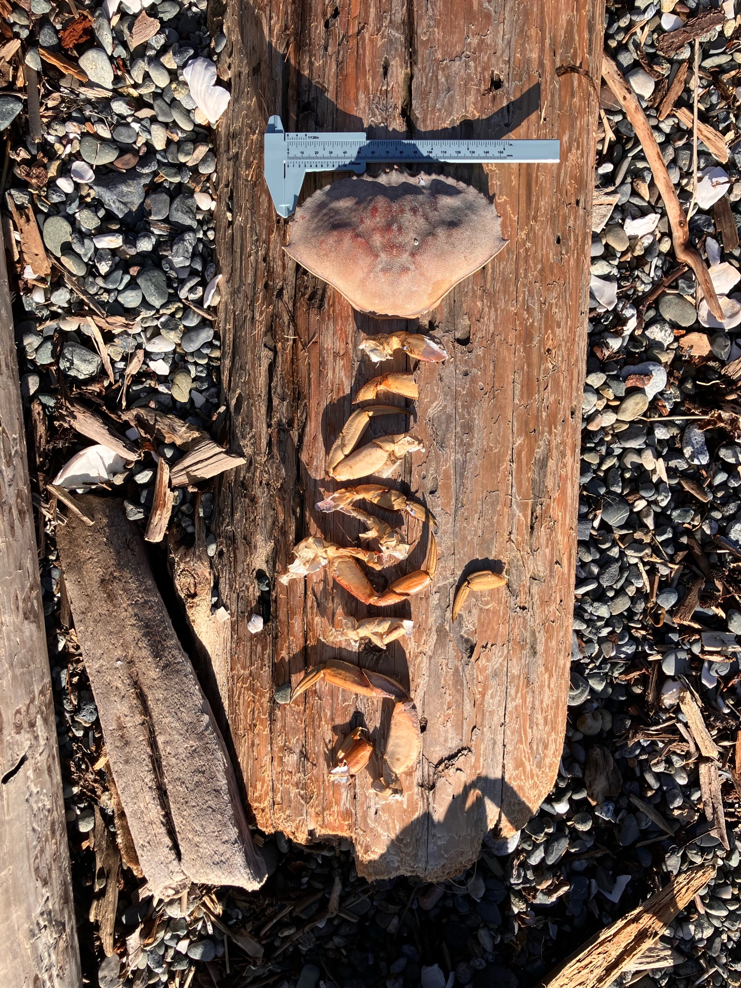 d2b55cf582831094f3600c4d72008474853a4306