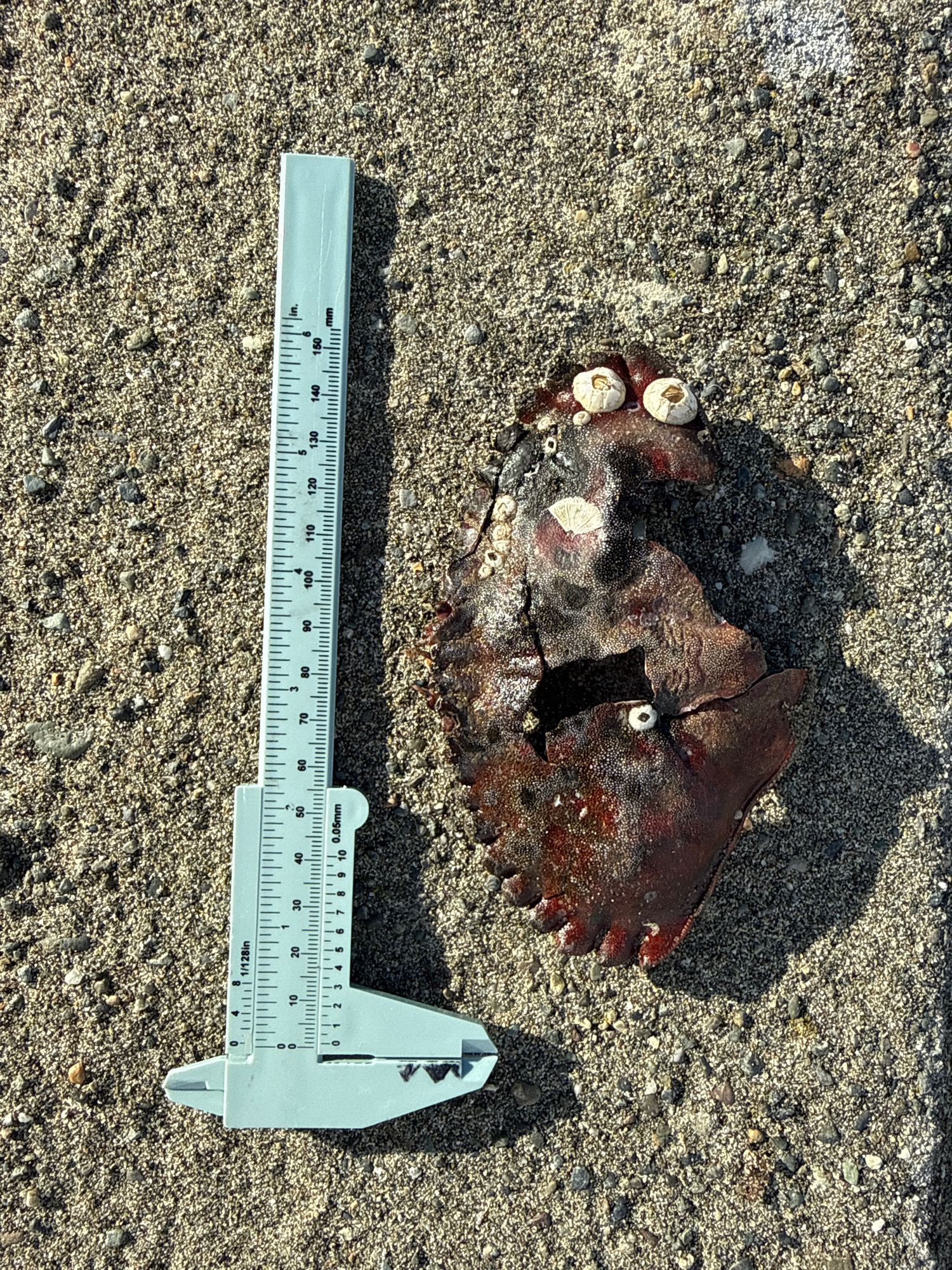 2dbc91d74b5f0a04d70a1f6811d6c33a185cc51f