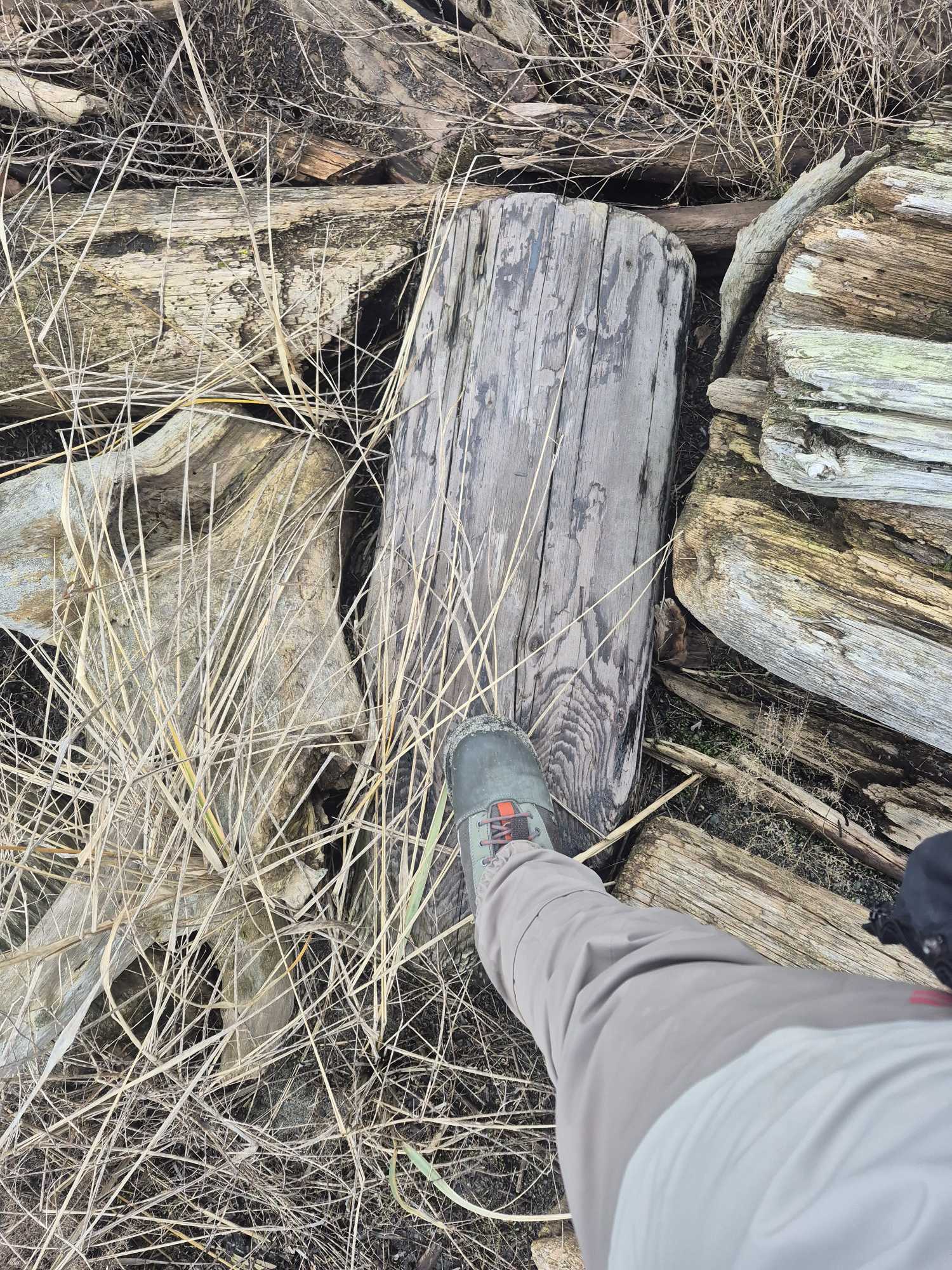 f32452a7022a1065d994e53eddf0d2972e24b041