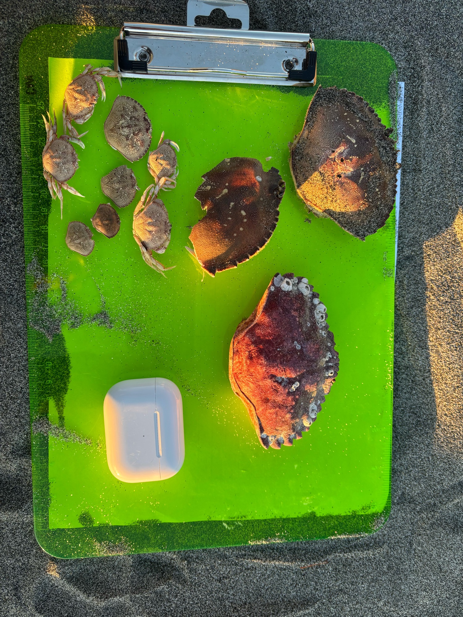 f8d146ff706c4396ec391b81bcd474840591d05e