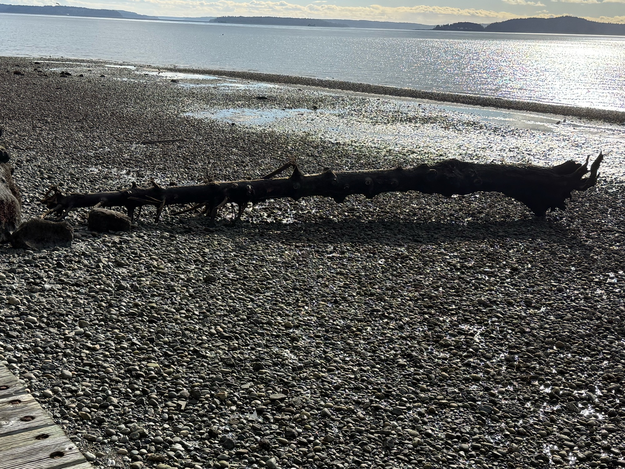 db7d3f45af46e3ae90deb3da6f575af23e1fef27