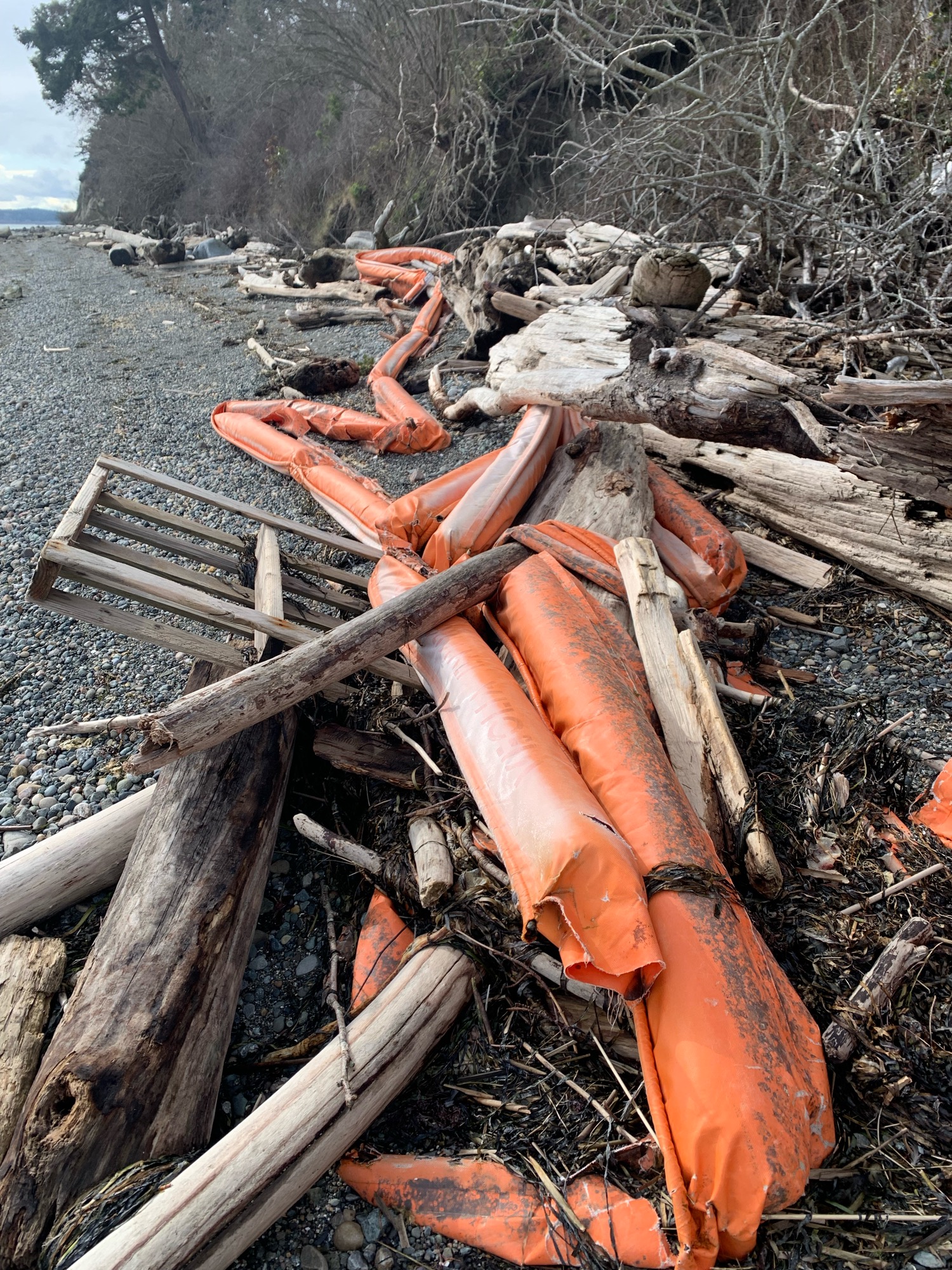 0051bb3f42cb26983f27a57116bdb70da88cac33