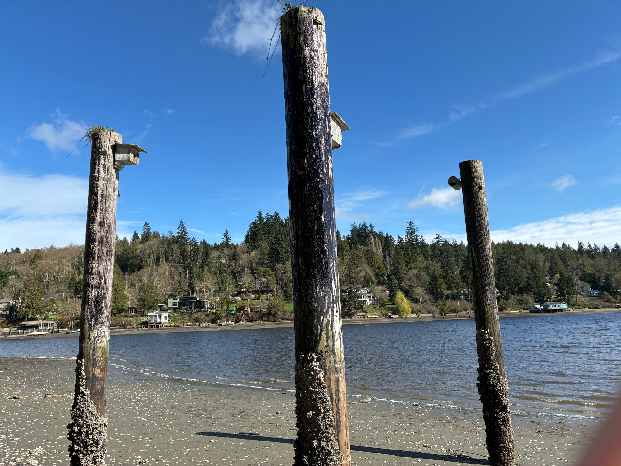 6d317c9da5fbf17fc60b800a8641bf06a74a0f10