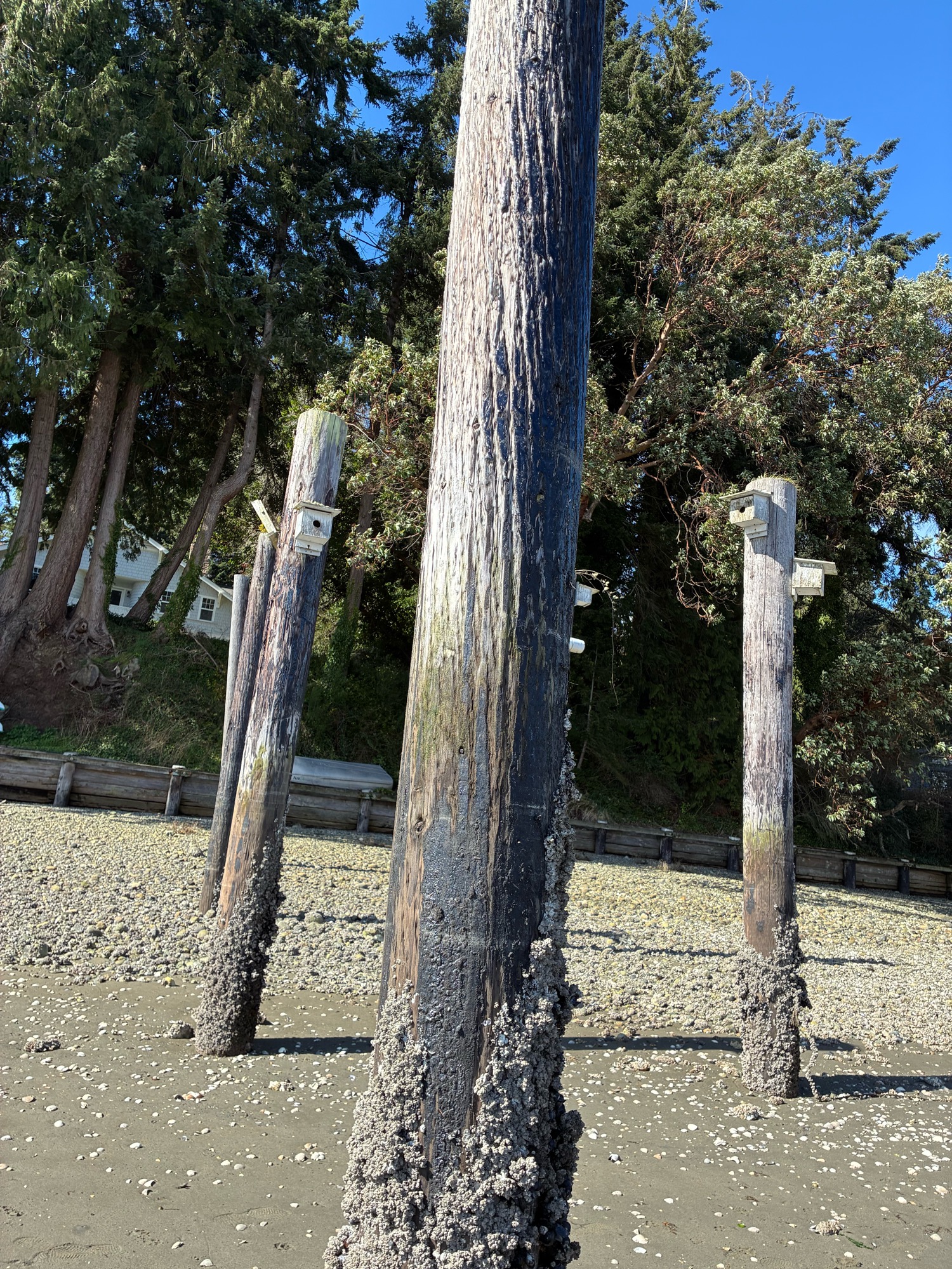 c5368896bf92dcac65121c64bf52f4edc8ca67ce