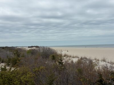 a sandy beach with bushes and trees (MyCoast AI)