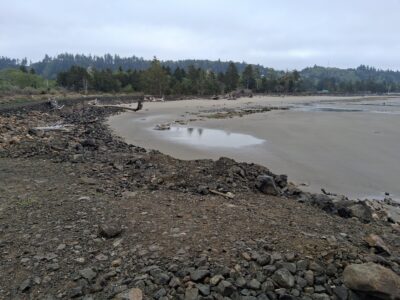 a rocky beach with a body of water and trees in the background (MyCoast AI)
