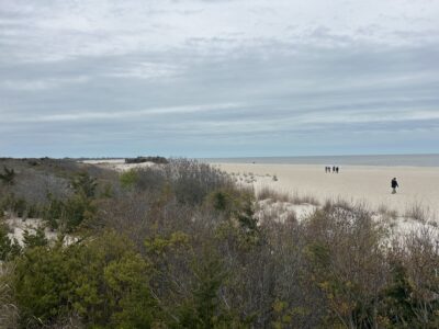 a group of people walking on a beach (MyCoast AI)
