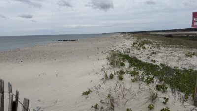 a sandy beach with plants and water (MyCoast AI)