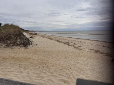 a sandy beach with a hill and water in the background (MyCoast AI)