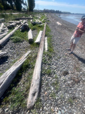 a man walking on a path next to a beach (MyCoast AI)