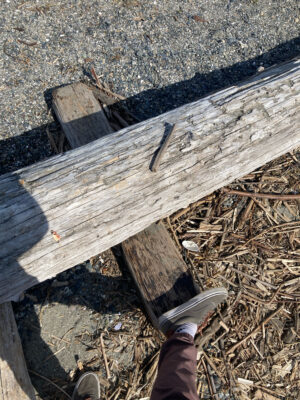 a person's feet on a wooden bench (MyCoast AI)