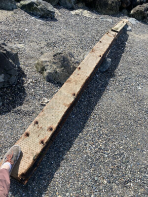 a wooden plank on the ground (MyCoast AI)