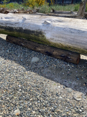 a wooden bench on a rocky path (MyCoast AI)