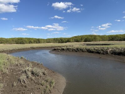a river with grass and trees (MyCoast AI)