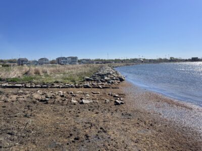 a beach with rocks and grass (MyCoast AI)