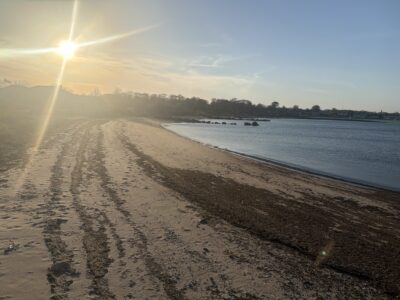 a sandy beach with a body of water and a boat in the distance (MyCoast AI)
