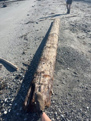 a person's foot on a wooden plank on a gravel road (MyCoast AI)