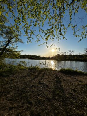 a body of water with trees around it (MyCoast AI)
