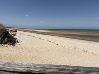 a sandy beach with a body of water in the background (MyCoast AI)