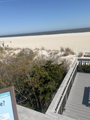 a view of a beach and some trees from a balcony (MyCoast AI)