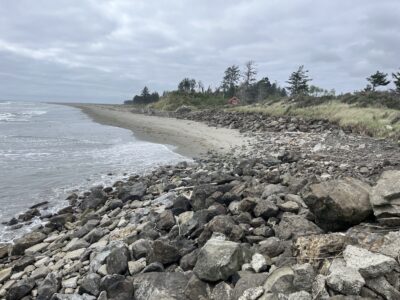 a rocky beach with trees and a body of water (MyCoast AI)