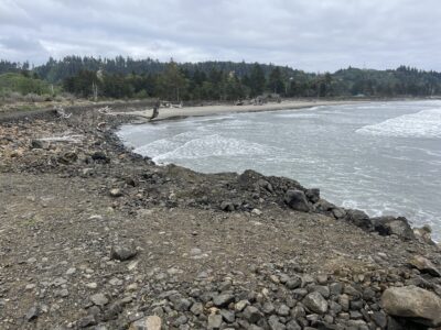 a rocky beach with trees in the background (MyCoast AI)