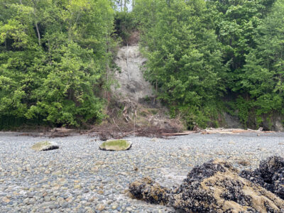 a river with rocks and trees (MyCoast AI)