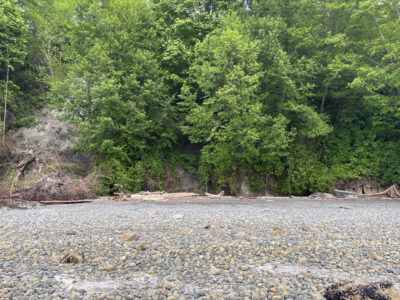 a rocky area with trees in the back (MyCoast AI)