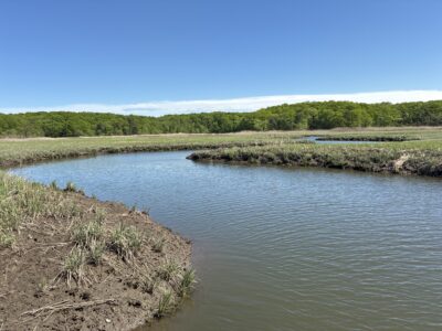 a river with a forest in the background (MyCoast AI)